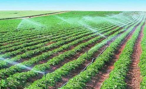 肏屄在线免费录视频观看农田高 效节水灌溉